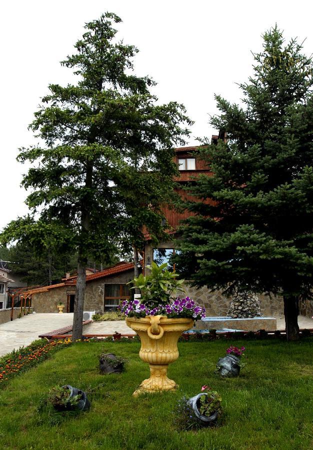 Хотел Галина Палас Srem Exterior foto